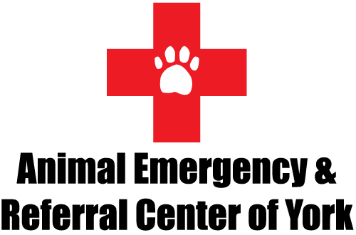 Animal Emergency and Referral Center of York